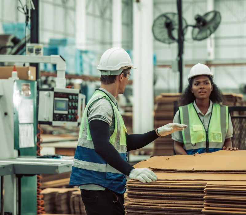 The paper factory technician ensures efficient operation by conducting assessments of cardboard sheet measurements to verify accuracy and quality before starting automated processing with machinery.