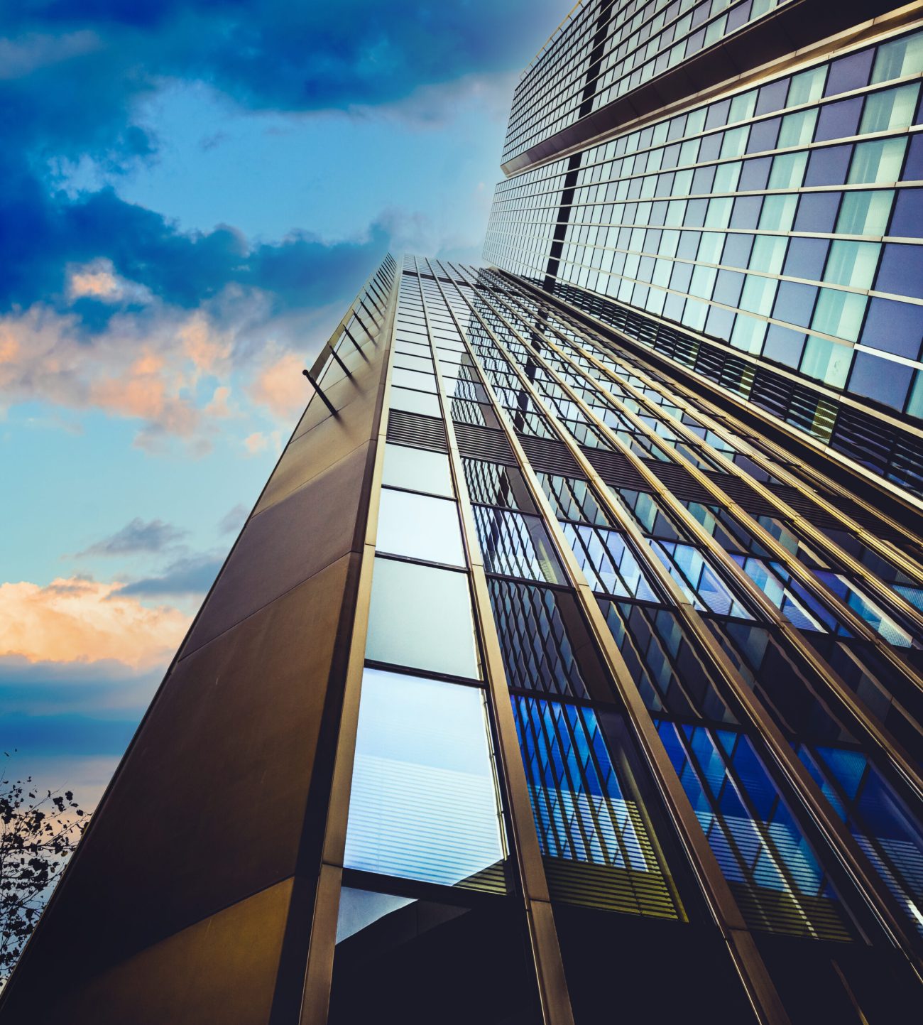 Skyward view of skyscrapers, business and corporate concept